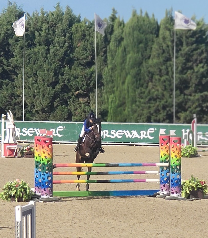 Presencia navarra en los Campeonatos de España de Salto de Obstáculos